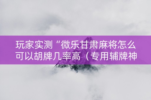 玩家实测“微乐甘肃麻将怎么可以胡牌几率高（专用辅牌神器免安装）