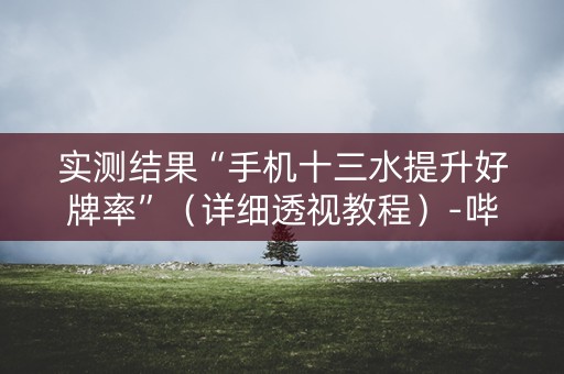 实测结果“手机十三水提升好牌率”（详细透视教程）-哔哩哔哩