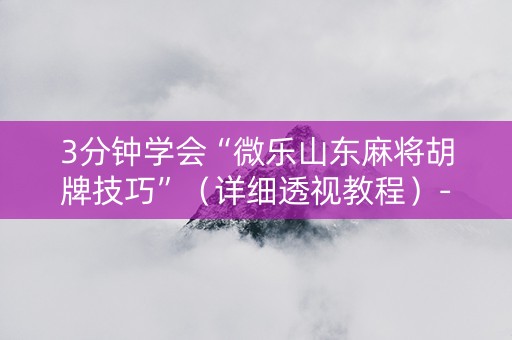 3分钟学会“微乐山东麻将胡牌技巧”（详细透视教程）-哔哩哔哩