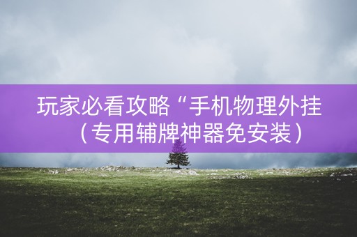 玩家必看攻略“手机物理外挂（专用辅牌神器免安装）