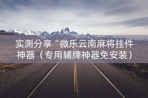实测分享“微乐云南麻将挂件神器（专用辅牌神器免安装）