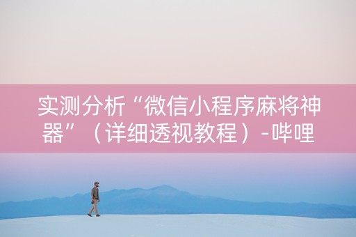 实测分析“微信小程序麻将神器”（详细透视教程）-哔哩哔哩