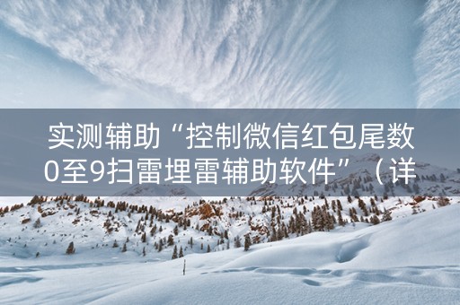 实测辅助“控制微信红包尾数0至9扫雷埋雷辅助软件”（详细透视教程）-哔哩哔哩