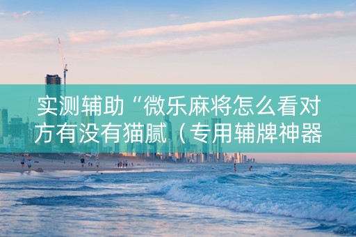 实测辅助“微乐麻将怎么看对方有没有猫腻（专用辅牌神器免安装）