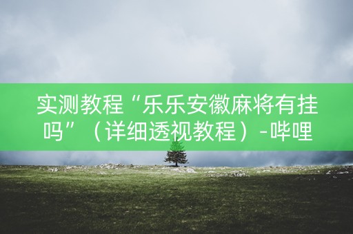 实测教程“乐乐安徽麻将有挂吗”（详细透视教程）-哔哩哔哩