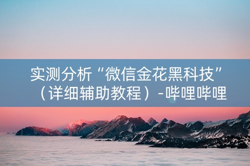 实测分析“微信金花黑科技”（详细辅助教程）-哔哩哔哩