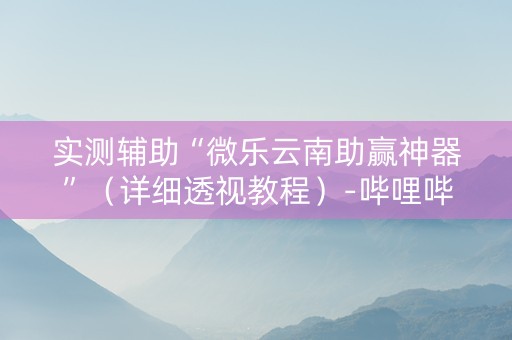 实测辅助“微乐云南助赢神器”（详细透视教程）-哔哩哔哩