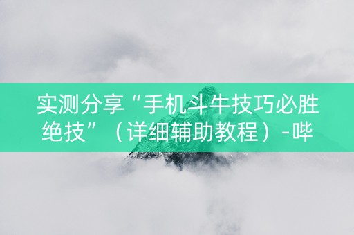 实测分享“手机斗牛技巧必胜绝技”（详细辅助教程）-哔哩哔哩
