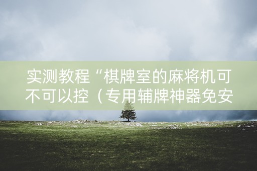实测教程“棋牌室的麻将机可不可以控（专用辅牌神器免安装）