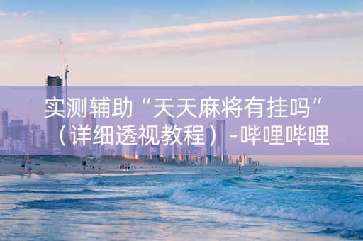实测辅助“天天麻将有挂吗”（详细透视教程）-哔哩哔哩