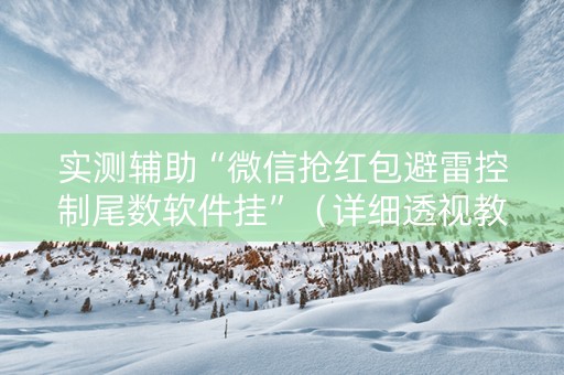 实测辅助“微信抢红包避雷控制尾数软件挂”（详细透视教程）-哔哩哔哩