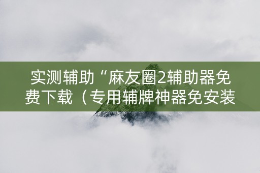 实测辅助“麻友圈2辅助器免费下载（专用辅牌神器免安装）