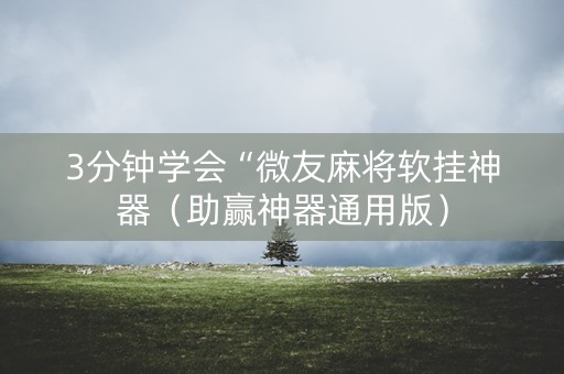 3分钟学会“微友麻将软挂神器（助赢神器通用版）
