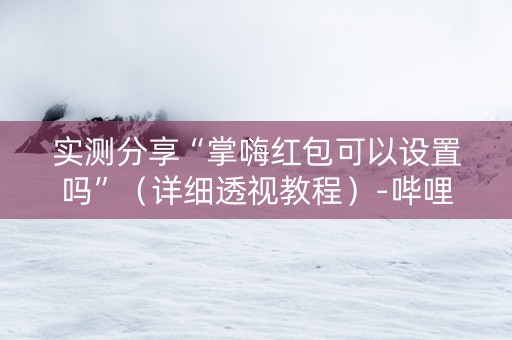 实测分享“掌嗨红包可以设置吗”（详细透视教程）-哔哩哔哩