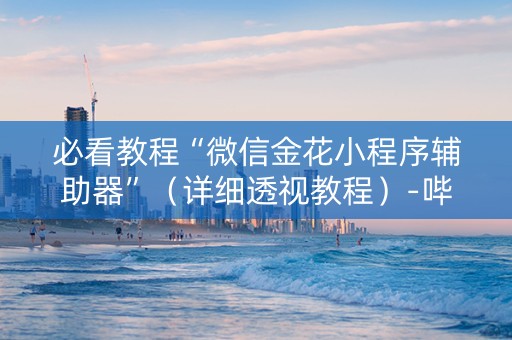 必看教程“微信金花小程序辅助器”（详细透视教程）-哔哩哔哩