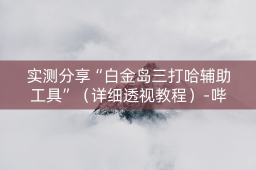 实测分享“白金岛三打哈辅助工具”（详细透视教程）-哔哩哔哩