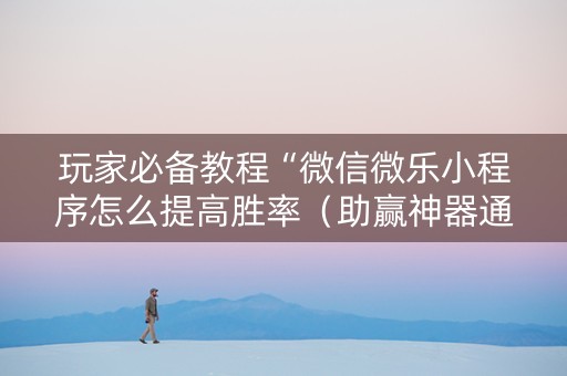 玩家必备教程“微信微乐小程序怎么提高胜率（助赢神器通用版）