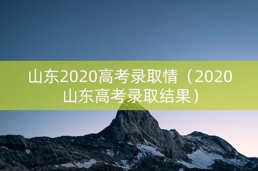山东2020高考录取情（2020山东高考录取结果）