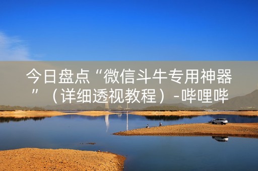 今日盘点“微信斗牛专用神器”（详细透视教程）-哔哩哔哩