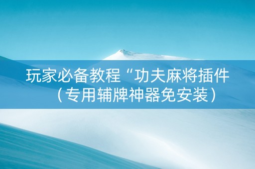 玩家必备教程“功夫麻将插件（专用辅牌神器免安装）