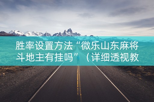 胜率设置方法“微乐山东麻将斗地主有挂吗”（详细透视教程）-哔哩哔哩