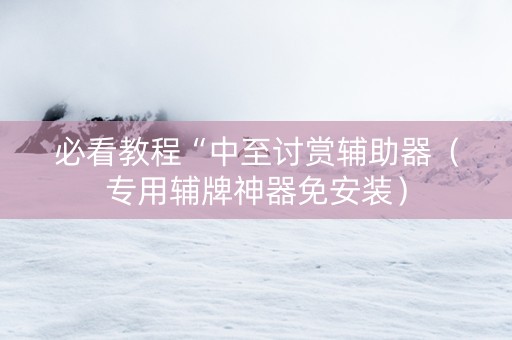必看教程“中至讨赏辅助器（专用辅牌神器免安装）