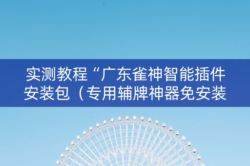 实测教程“广东雀神智能插件安装包（专用辅牌神器免安装）