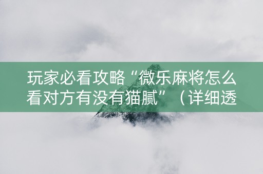 玩家必看攻略“微乐麻将怎么看对方有没有猫腻”（详细透视教程）-哔哩哔哩