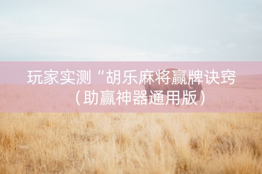 玩家实测“胡乐麻将赢牌诀窍（助赢神器通用版）