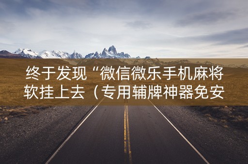 终于发现“微信微乐手机麻将软挂上去（专用辅牌神器免安装）