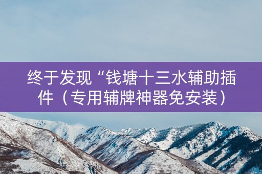 终于发现“钱塘十三水辅助插件（专用辅牌神器免安装）
