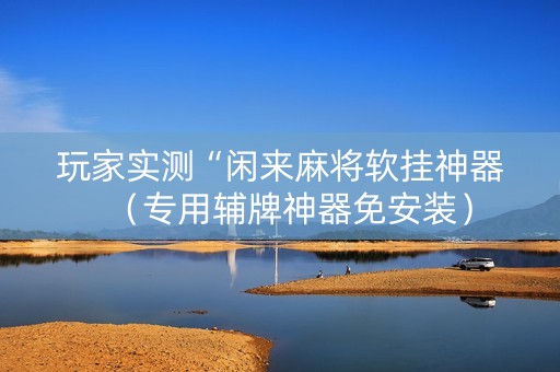 玩家实测“闲来麻将软挂神器（专用辅牌神器免安装）
