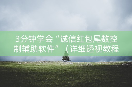 3分钟学会“诚信红包尾数控制辅助软件”（详细透视教程）-哔哩哔哩