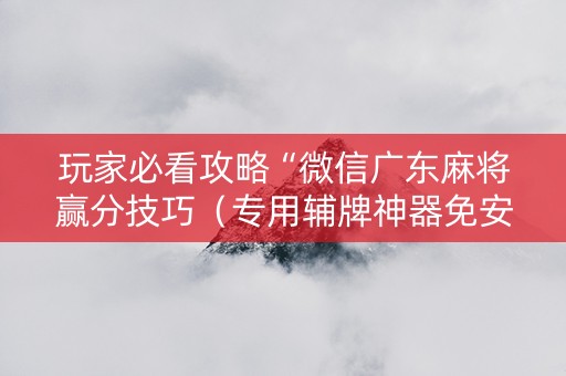 玩家必看攻略“微信广东麻将赢分技巧（专用辅牌神器免安装）