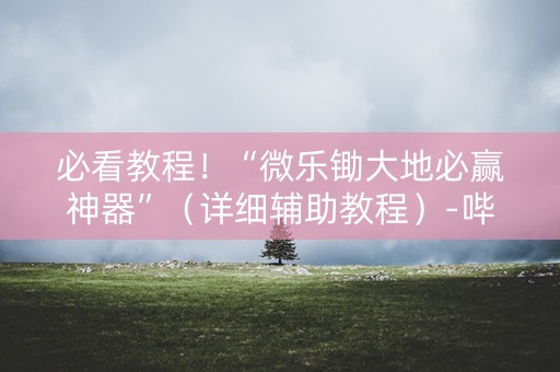 必看教程！“微乐锄大地必赢神器”（详细辅助教程）-哔哩哔哩