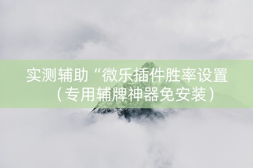 实测辅助“微乐插件胜率设置（专用辅牌神器免安装）