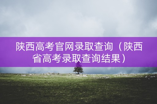 陕西高考官网录取查询（陕西省高考录取查询结果）