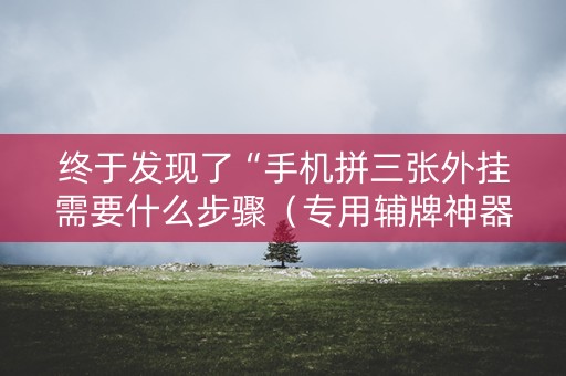 终于发现了“手机拼三张外挂需要什么步骤（专用辅牌神器免安装）