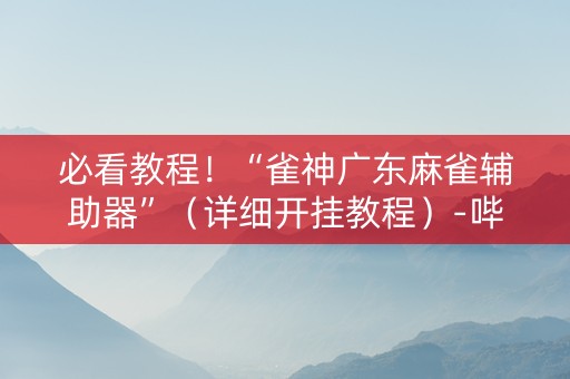 必看教程！“雀神广东麻雀辅助器”（详细开挂教程）-哔哩哔哩
