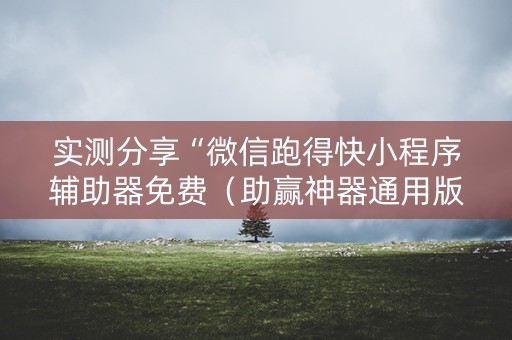 实测分享“微信跑得快小程序辅助器免费（助赢神器通用版）