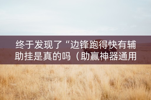 终于发现了“边锋跑得快有辅助挂是真的吗（助赢神器通用版）