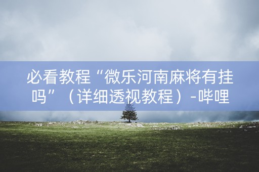 必看教程“微乐河南麻将有挂吗”（详细透视教程）-哔哩哔哩