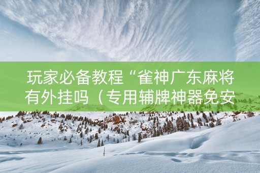 玩家必备教程“雀神广东麻将有外挂吗（专用辅牌神器免安装）