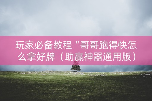 玩家必备教程“哥哥跑得快怎么拿好牌（助赢神器通用版）