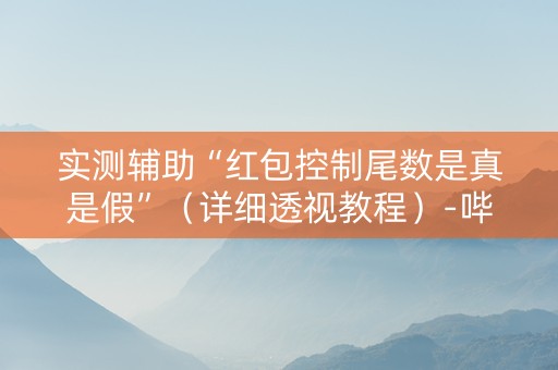 实测辅助“红包控制尾数是真是假”（详细透视教程）-哔哩哔哩