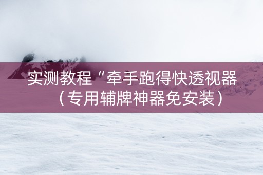 实测教程“牵手跑得快透视器（专用辅牌神器免安装）