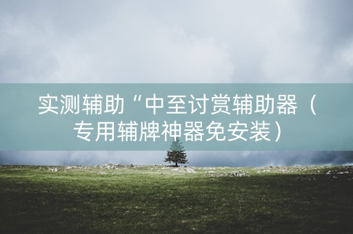 实测辅助“中至讨赏辅助器（专用辅牌神器免安装）