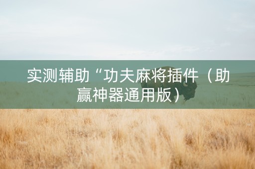 实测辅助“功夫麻将插件（助赢神器通用版）