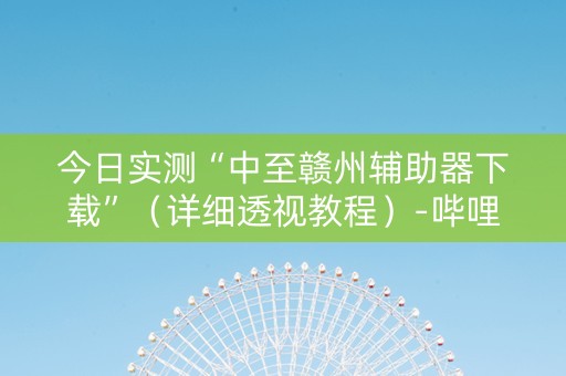 今日实测“中至赣州辅助器下载”（详细透视教程）-哔哩哔哩