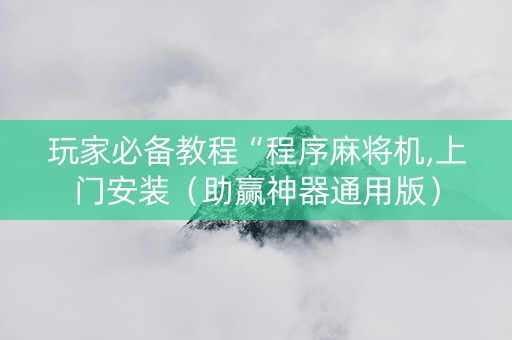 玩家必备教程“程序麻将机,上门安装（助赢神器通用版）